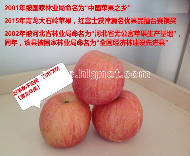 新鲜青龙富士苹果,10斤65包邮,保证个大,甜